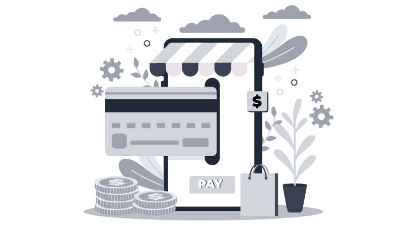 noPayment